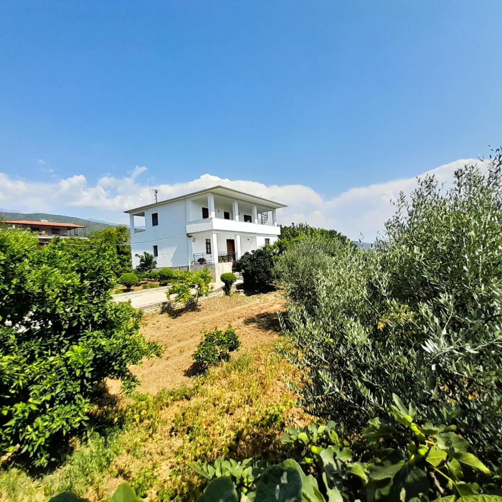 Villa Besart Berat Dış mekan fotoğraf