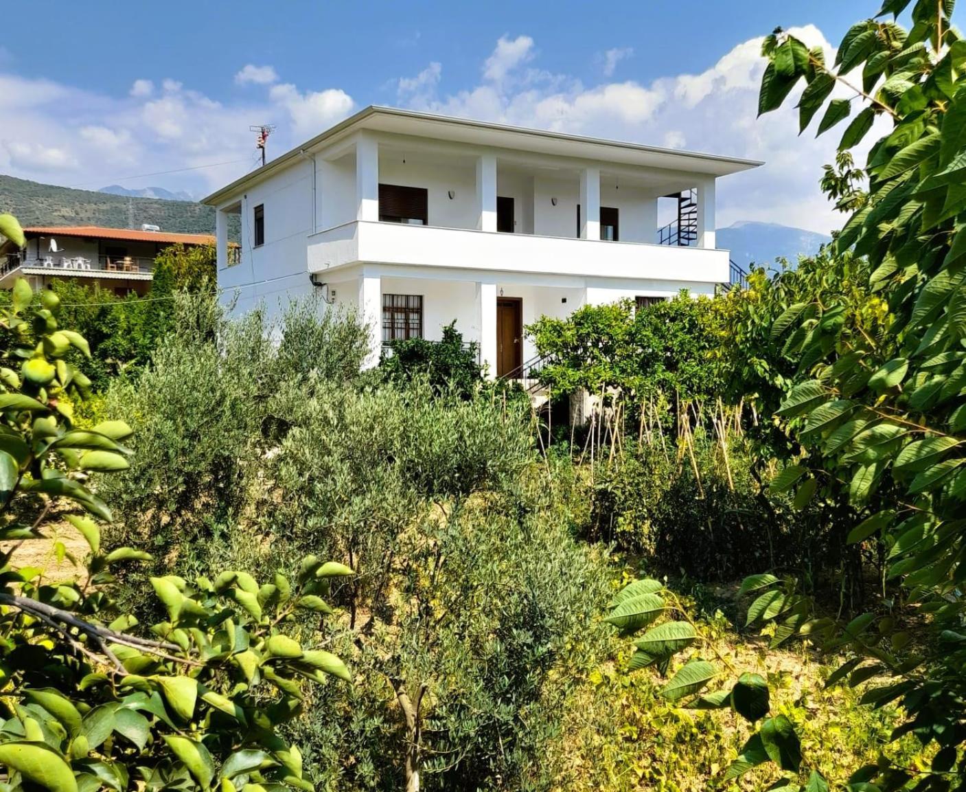 Villa Besart Berat Dış mekan fotoğraf